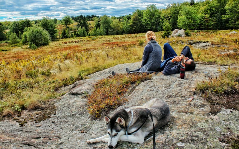 chilling in a field 800x500