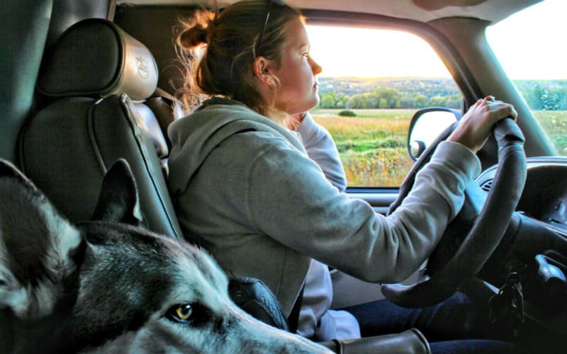 driving with cody 800x500