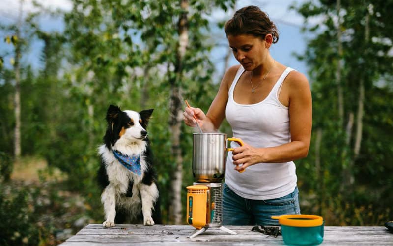 van life cooking meal