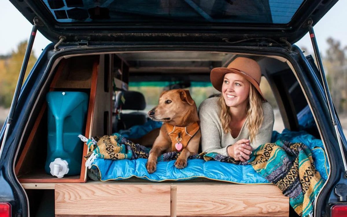 VanLife Dog is Their Co-pilot, Literally · The Wildest