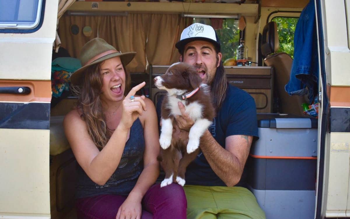 Vanlife With A Dog  (tips and tricks) 