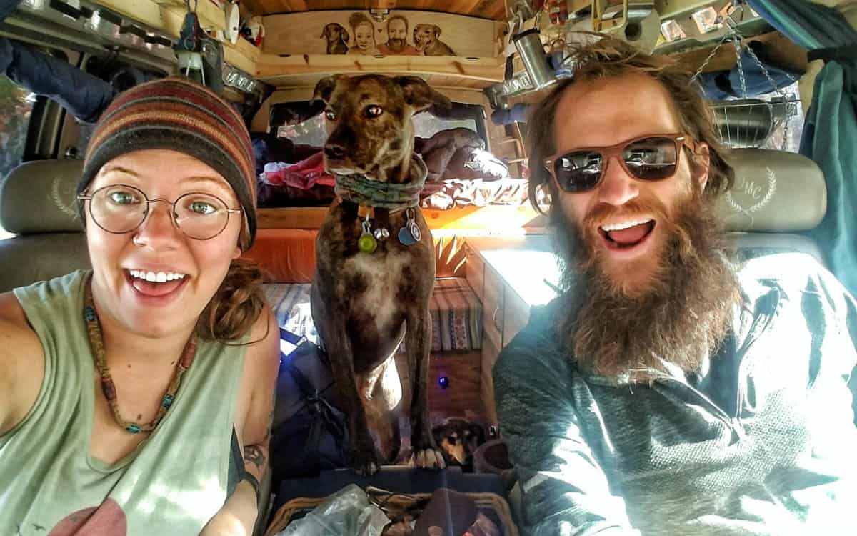 awesome vanlife dogs