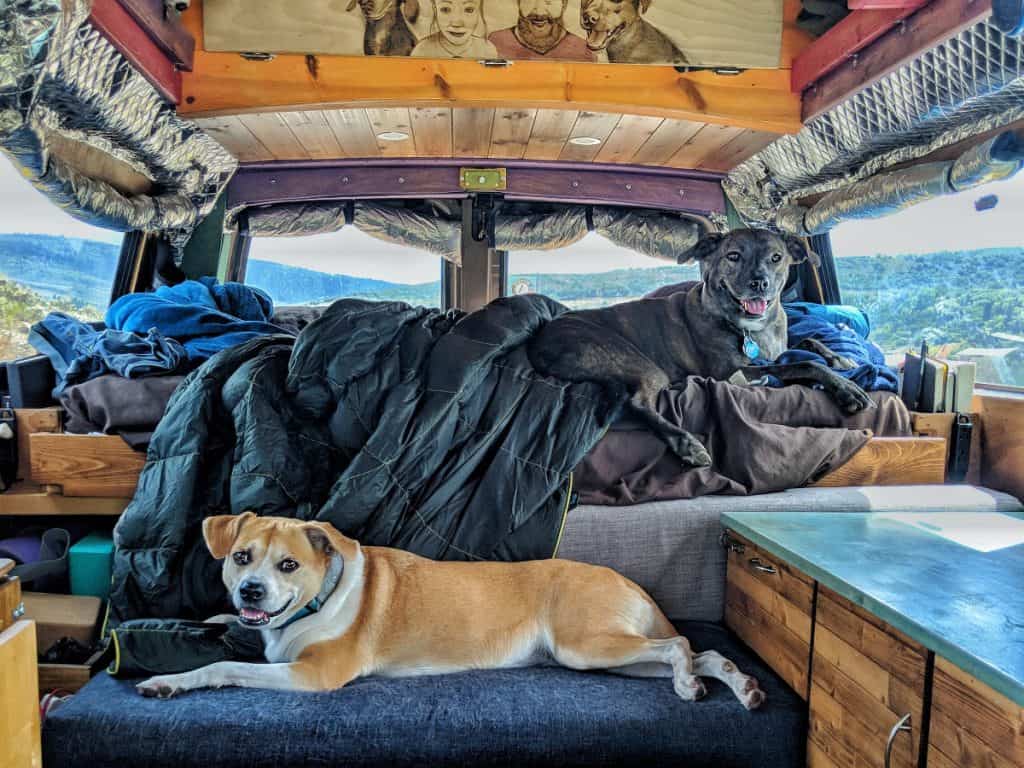 Camper dog outlet