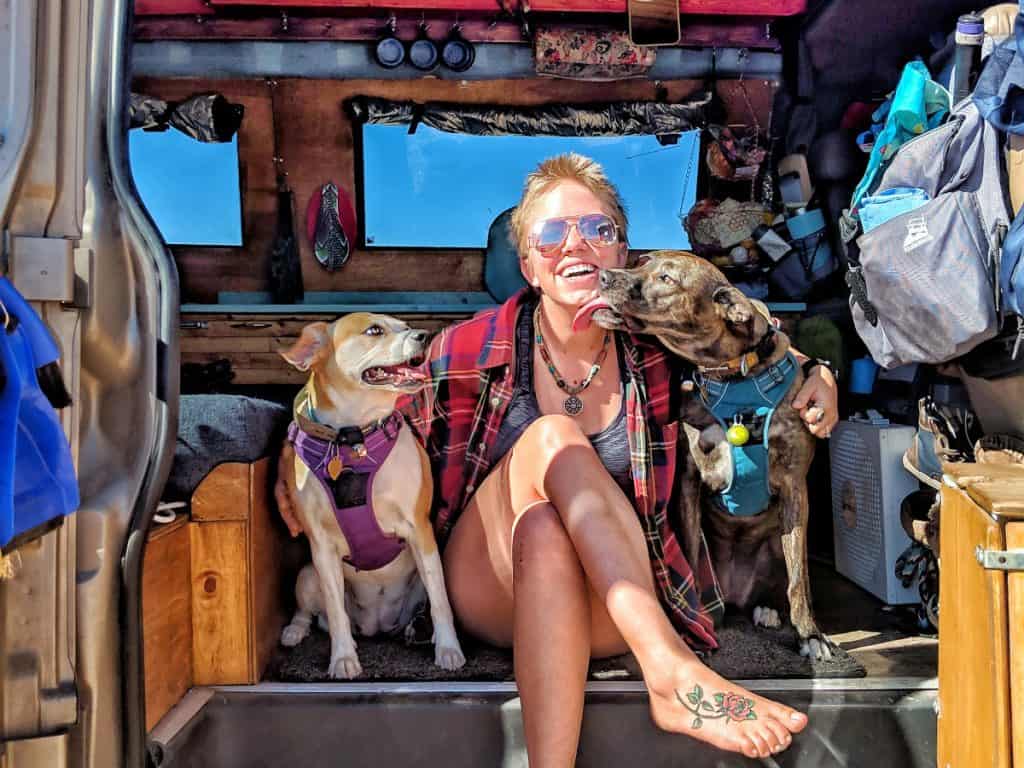 3 Dogs in a Sprinter Van  Van Life in Winter 