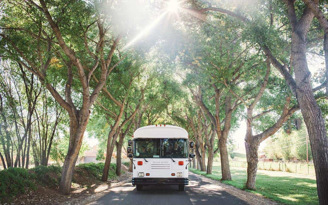 bus driving between