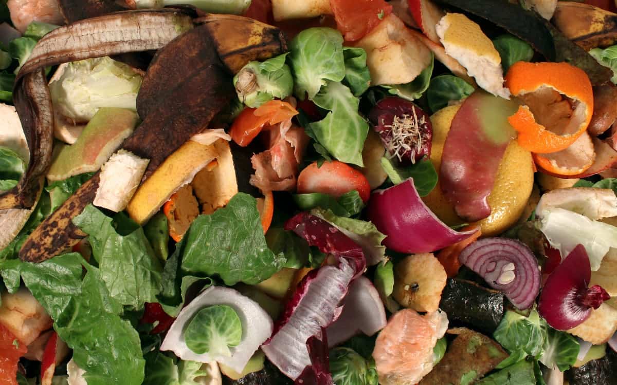 compost food scraps