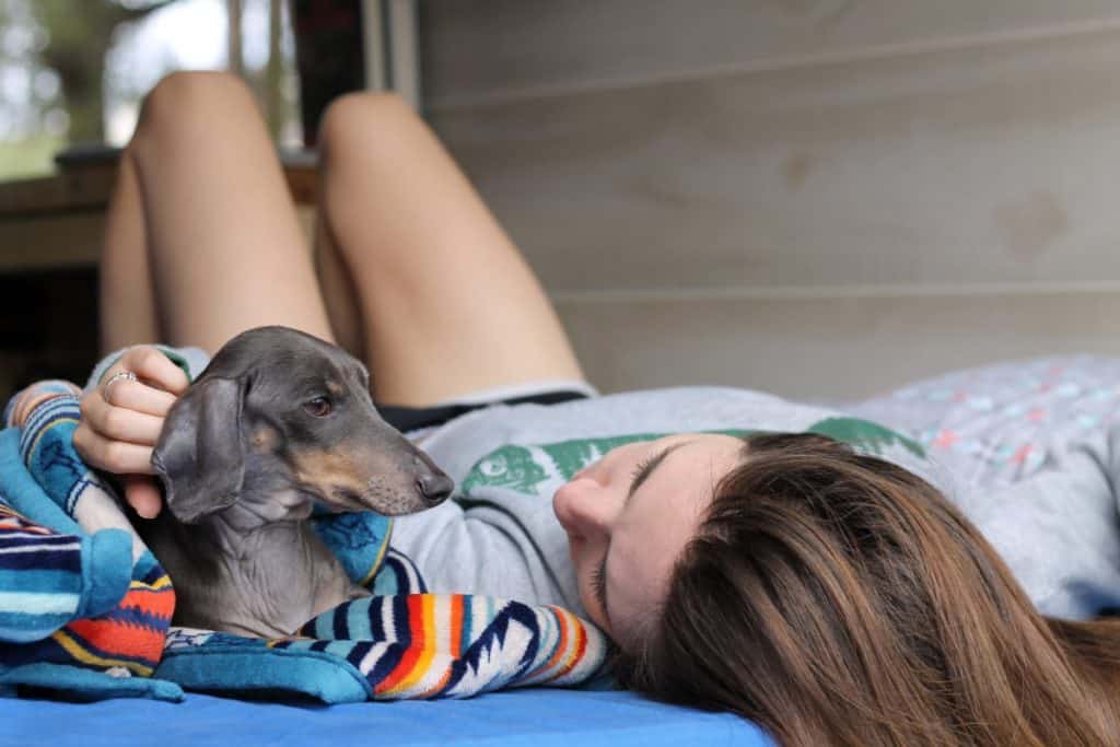 Girl lays down on bed petting her dachshund.