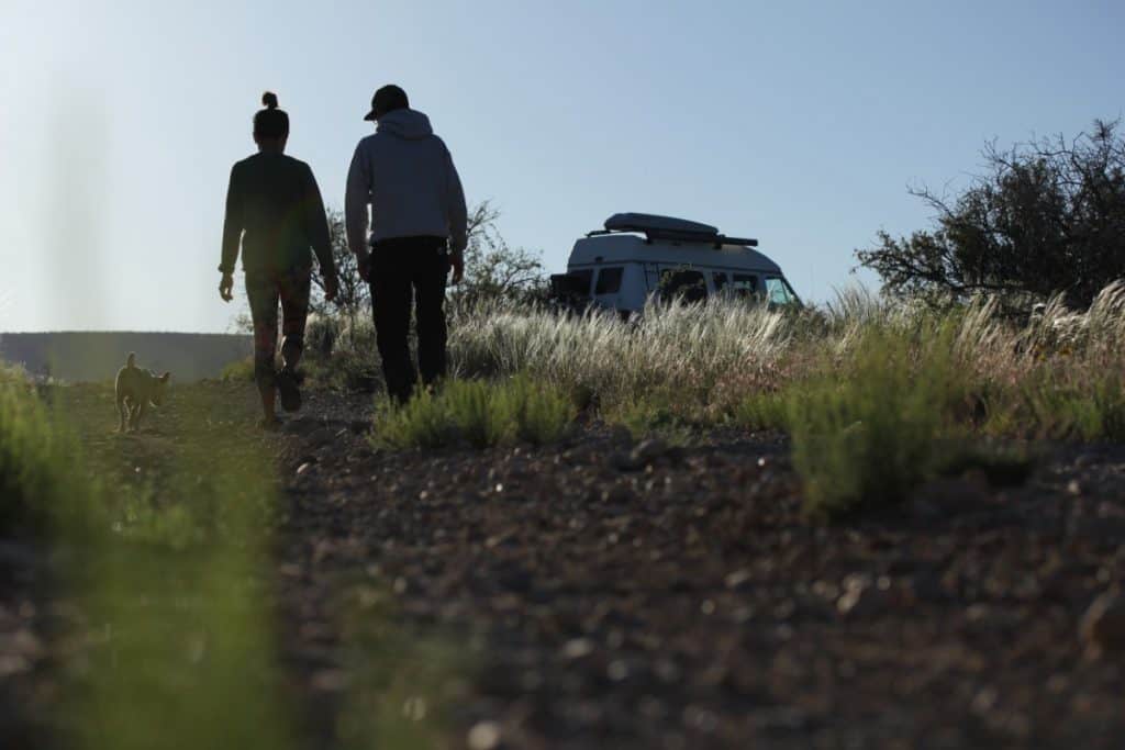 Girl guy and dog walk away from the camera towards their van.