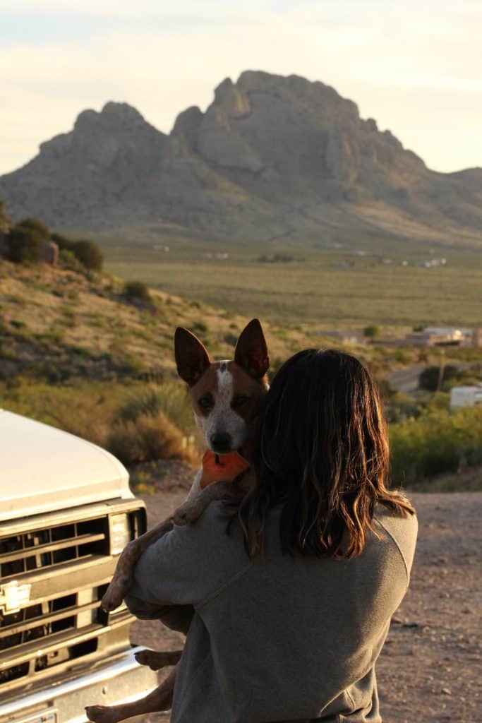 Dog is being held by a woman, the dog faces the camera while the woman faces away looking at a mountain in the distance.