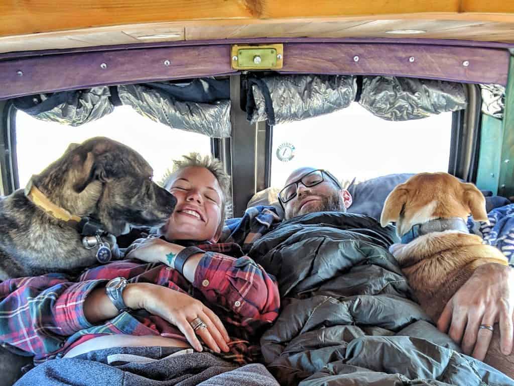 dogs in the bed vanlife 1200x900