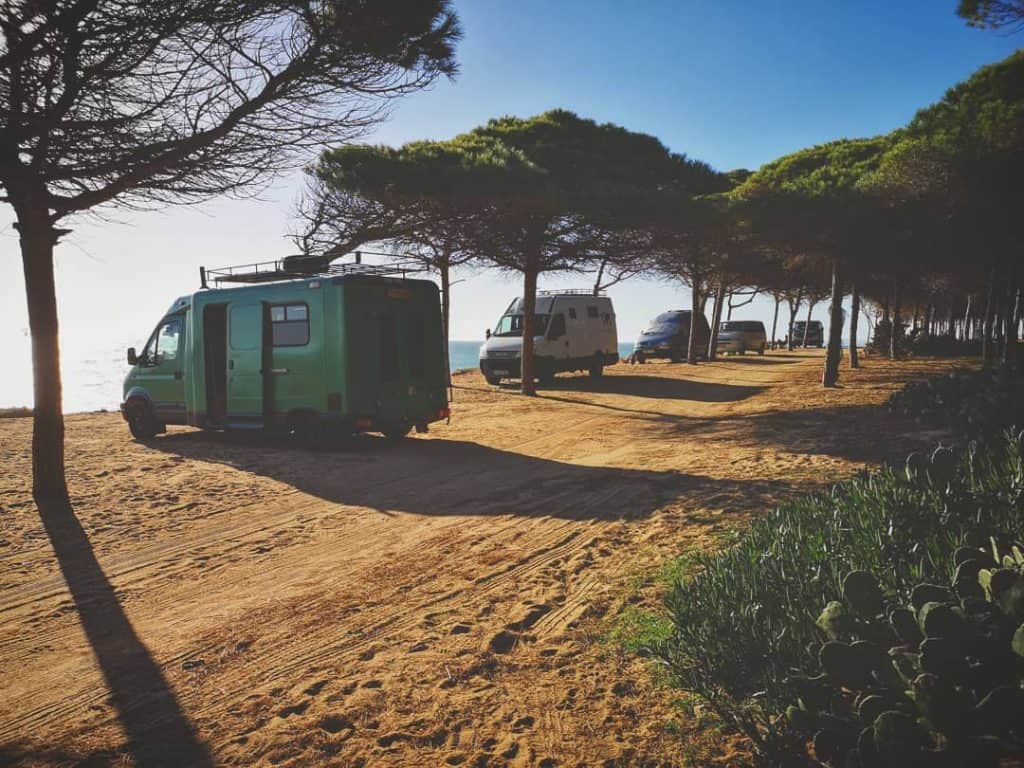 group of vans parked in the woods