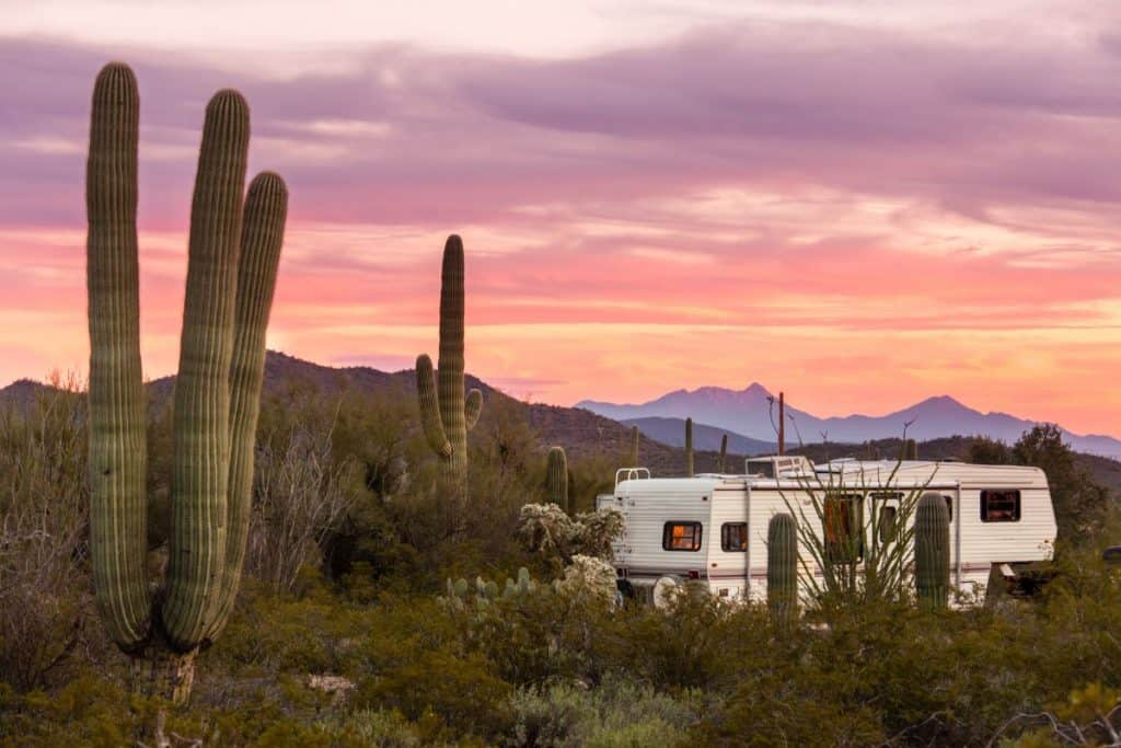 fifth wheel rv parked in the Arizona desert amongst giant saguaro cacti