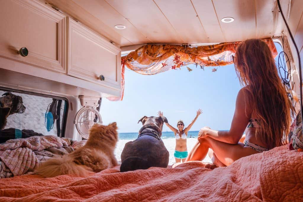 Abi & the dogs sit in the van, looking out at the beach and ocean and Nat as she stands on the beach with her hands up in excitement.