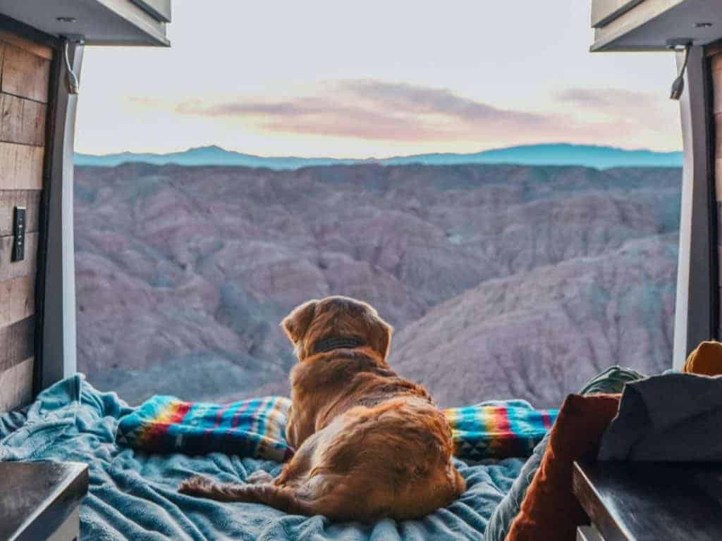 Ella looks out the open back doors at a mountainous scenery.