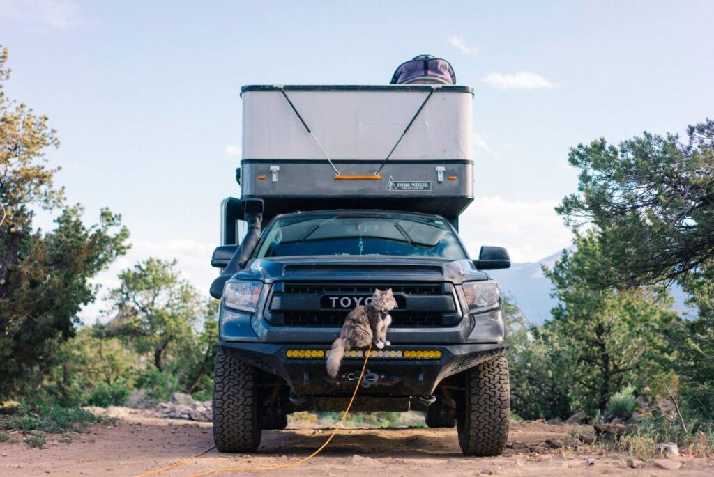 Vista frontale del camper toyota con gatto seduto sul paraurti