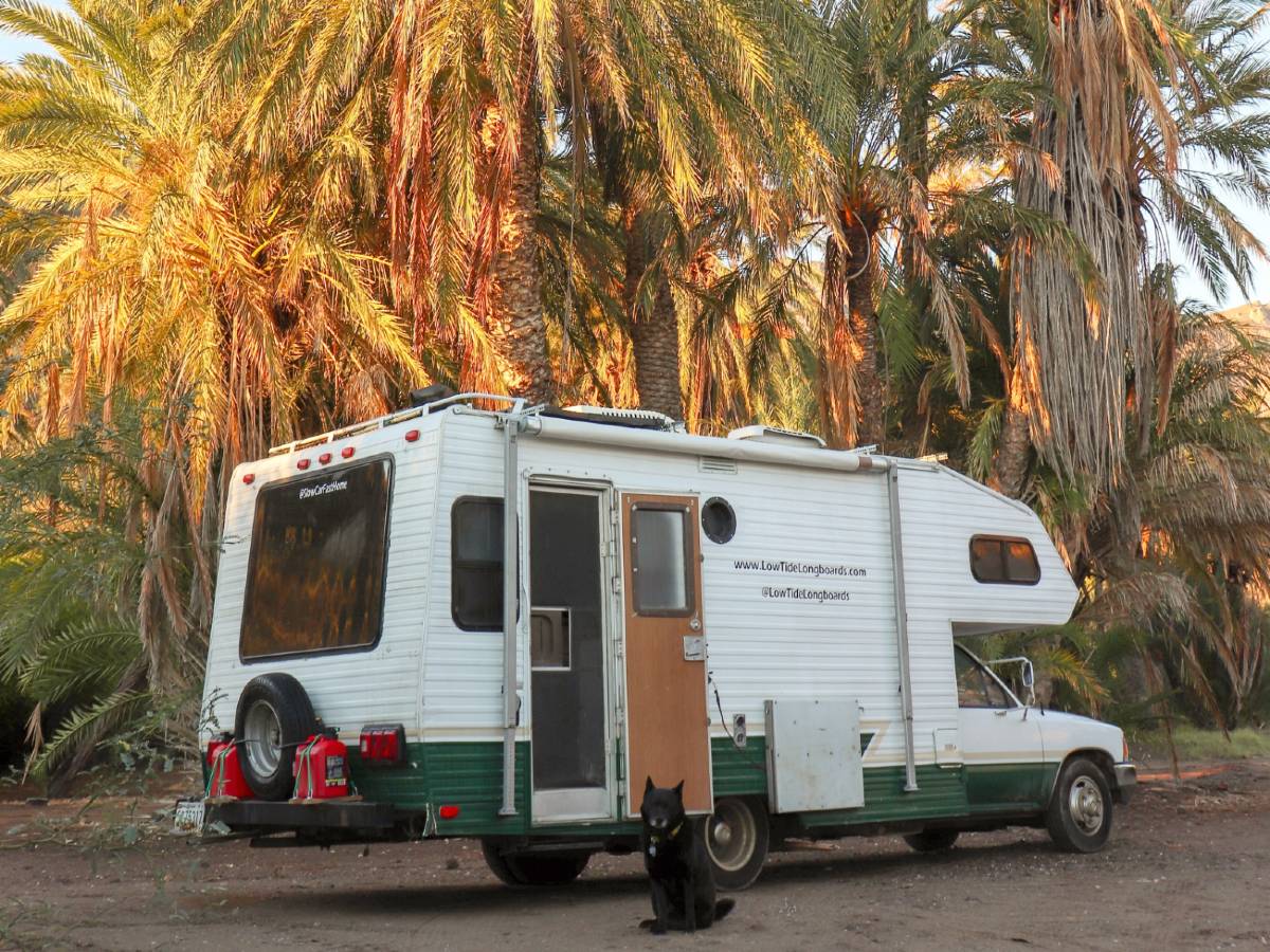 Toyota RV parked in the palm trees