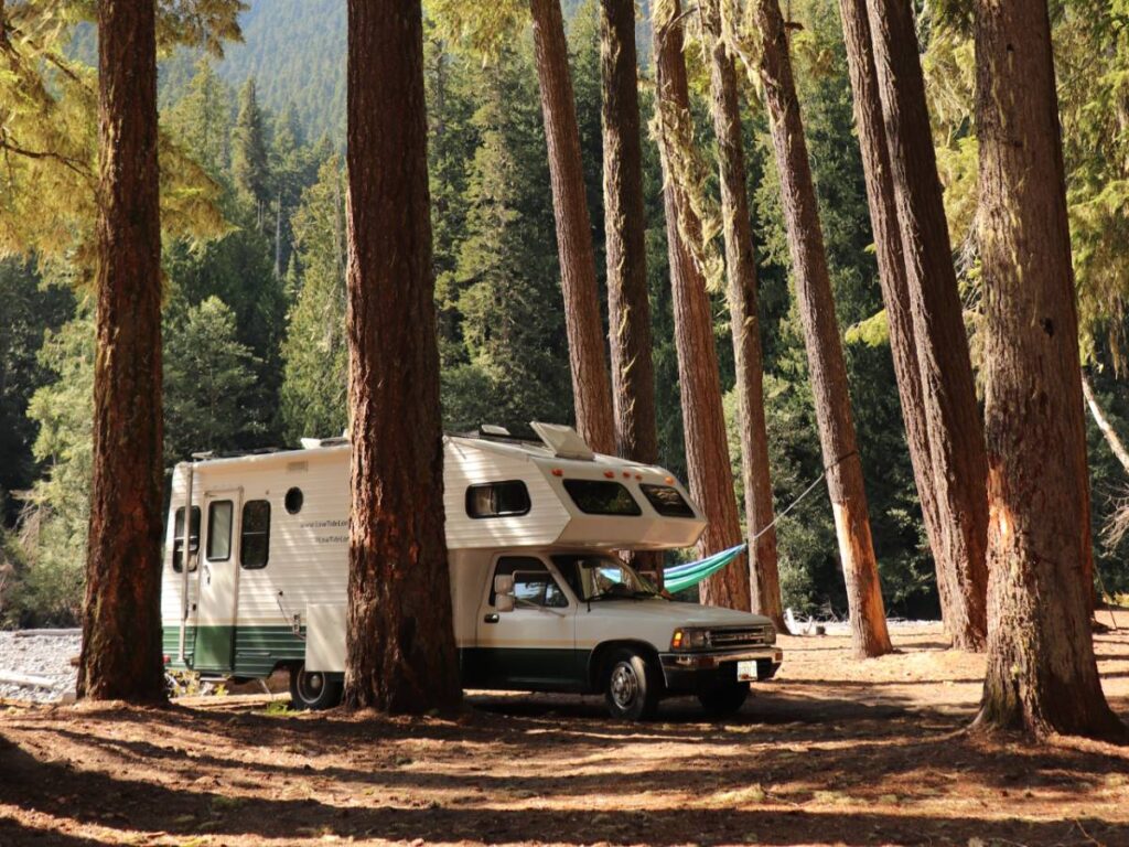 Toyota RV parked in the trees