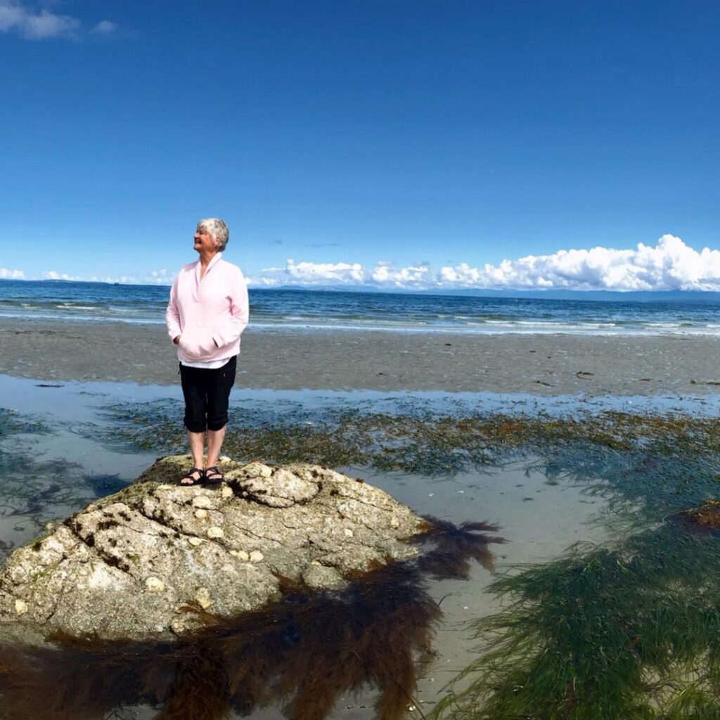 @veevanvoom beach view, transit camper van lifestyle