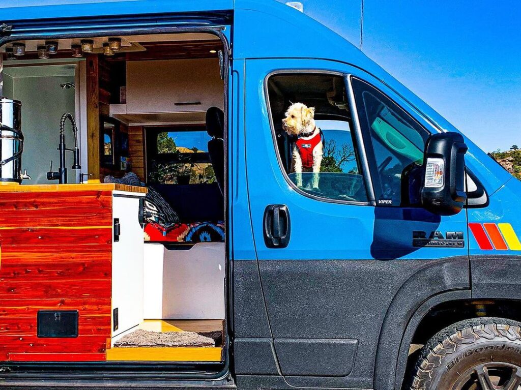 @luna_thebadassvan A dog inside a ram promaster conversion van