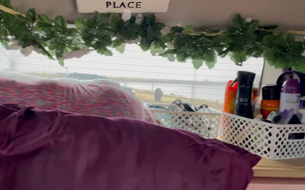 Abiyah Minivan camper conversion, interior design artificial plants on back window