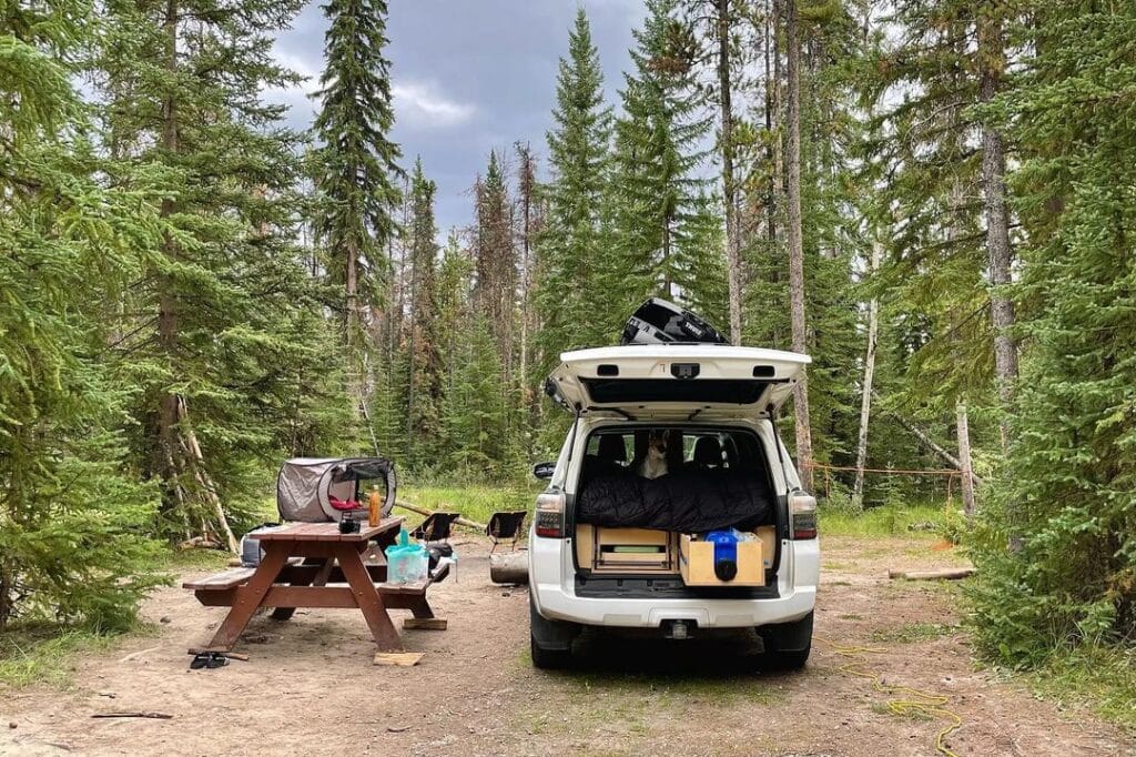 @romanandjulia camper suv parked in the woods