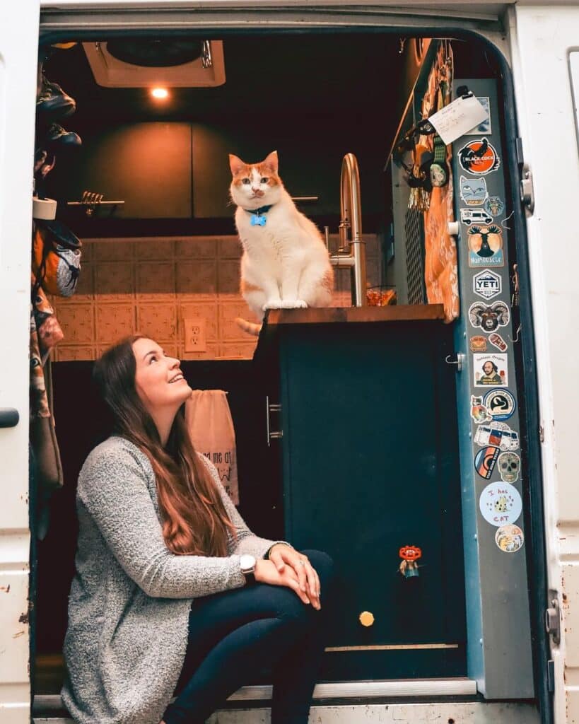 @the_moosecaboose woman in her camper van doorway looking up at her cat