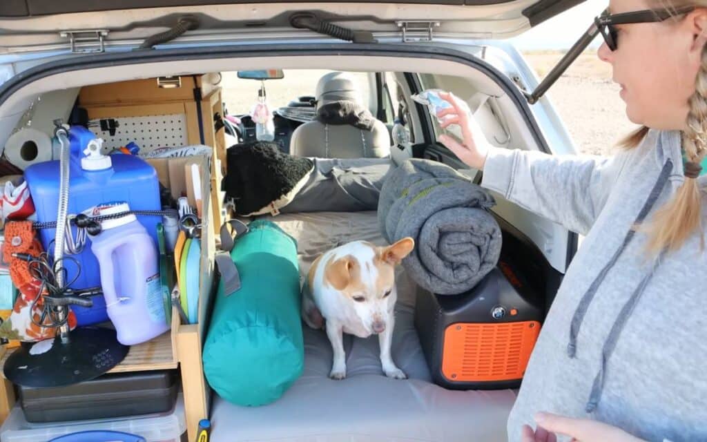 @popfizzpaper Dani showing the inside of her subaru forester camper conversion with her dog sitting on the bed