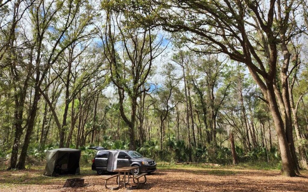 @heathershikesandadvantures Gray minivan camper parked under huge trees