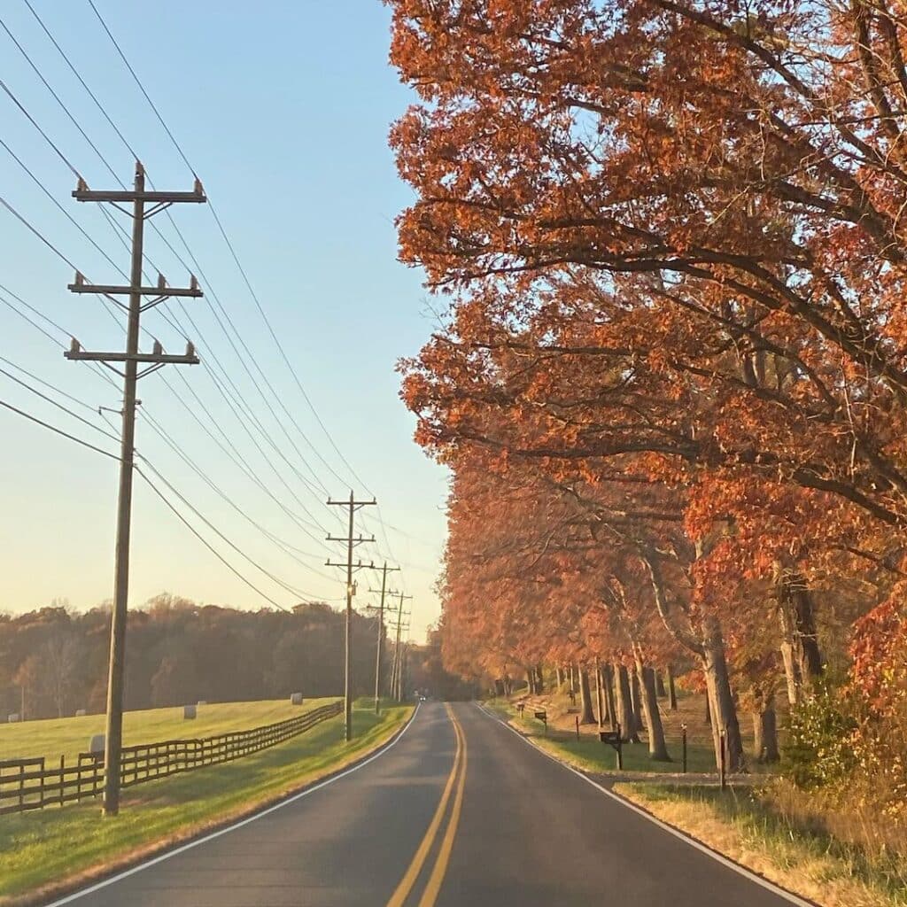 @marybethjobe Countryside road with vibrant autumn trees on the side